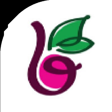 Berries n Cream logo